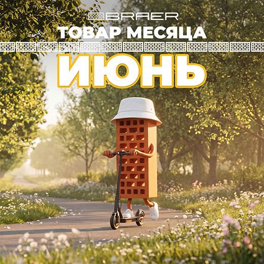 Товар месяца BRAER в июне